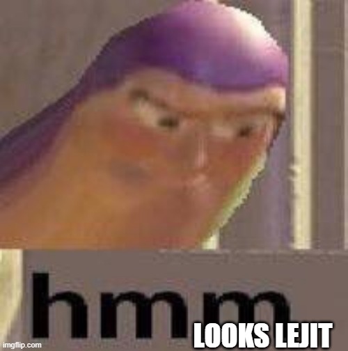 Hmmmm | LOOKS LEJIT | image tagged in hmmmm | made w/ Imgflip meme maker