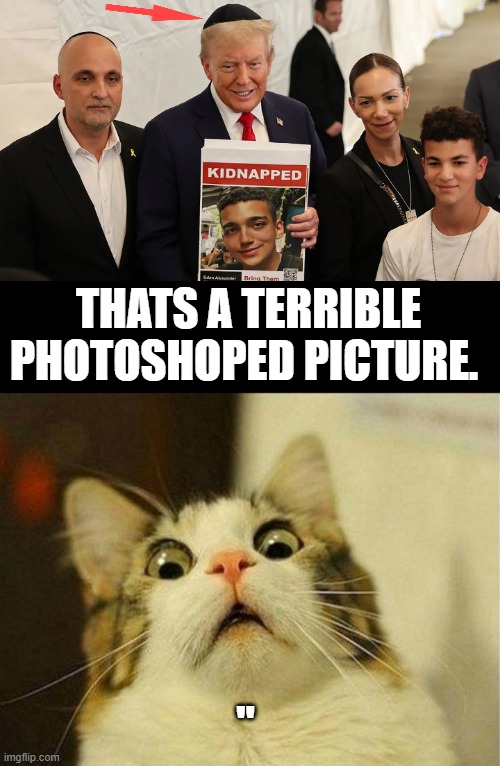 THATS A TERRIBLE PHOTOSHOPED PICTURE. " | image tagged in memes,scared cat | made w/ Imgflip meme maker