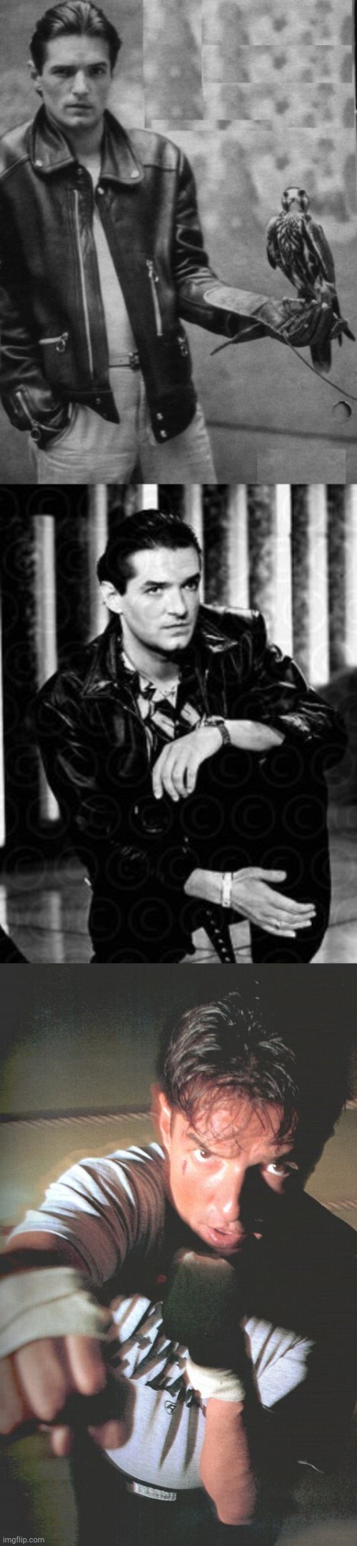 Some Falco Images That Are Too Good To Pass Up Pt. 2 | image tagged in falcon,awesomeness,mood,pinterest,love | made w/ Imgflip meme maker