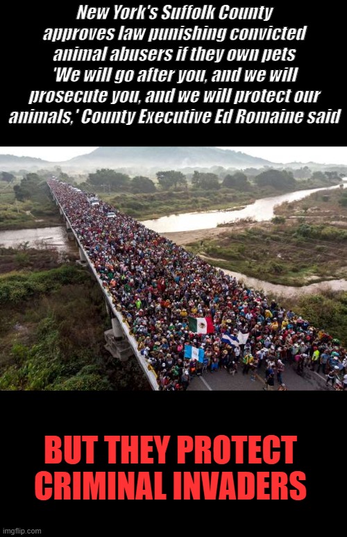 DEM party is full of corruption & evil people. | New York's Suffolk County approves law punishing convicted animal abusers if they own pets
'We will go after you, and we will prosecute you, and we will protect our animals,' County Executive Ed Romaine said; BUT THEY PROTECT CRIMINAL INVADERS | made w/ Imgflip meme maker