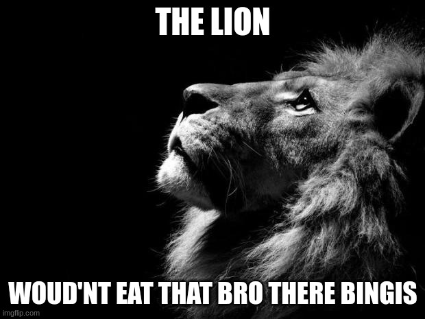 sad lion | THE LION WOUD'NT EAT THAT BRO THERE BINGIS | image tagged in sad lion | made w/ Imgflip meme maker