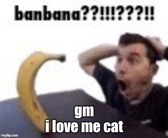 banbana??!!!???!! | gm
i love me cat | image tagged in banbana | made w/ Imgflip meme maker