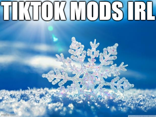 Lots of innocent words are "violating guidelines" on this super popular platform. Even awkward is... | TIKTOK MODS IRL | image tagged in snowflake,tiktok,memes | made w/ Imgflip meme maker