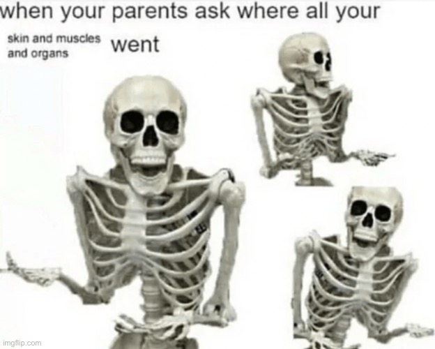 Skin and muscles and organs | made w/ Imgflip meme maker