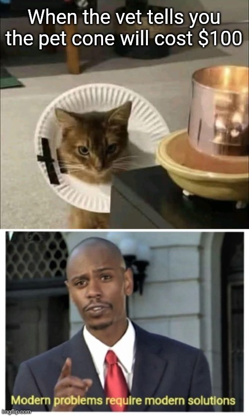 Costo Cat Cone | When the vet tells you the pet cone will cost $100 | image tagged in modern problems require modern solutions,cats,veterinarian,pet,cone | made w/ Imgflip meme maker