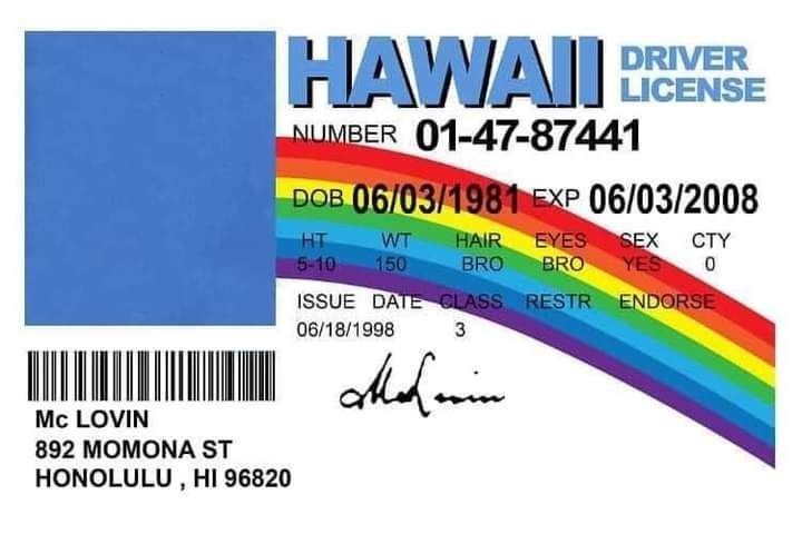 Hawaii driver license Blank Meme Template