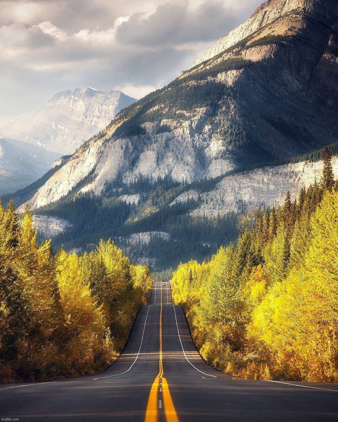 A nice view while driving | image tagged in awesome | made w/ Imgflip meme maker
