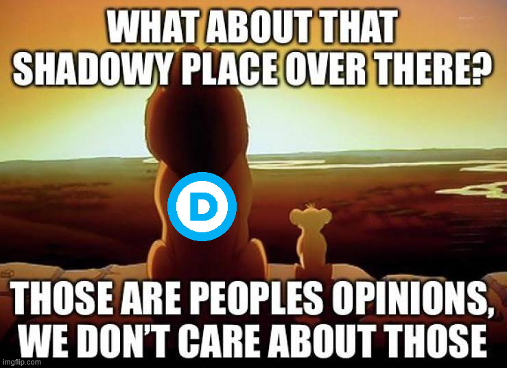 Politicians do not do what the majority want | image tagged in political meme | made w/ Imgflip meme maker
