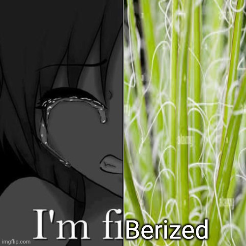I'm fi | Berized | image tagged in i'm fi | made w/ Imgflip meme maker