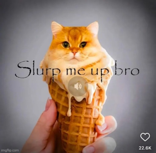 Slurp me up bro | image tagged in slurp me up bro | made w/ Imgflip meme maker