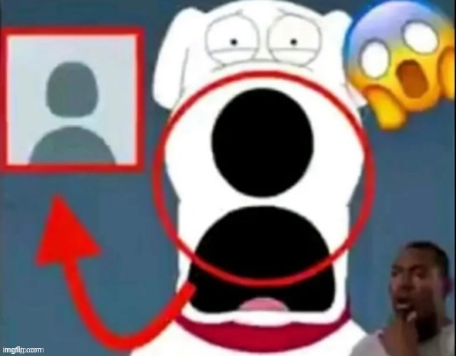 dog | image tagged in dog | made w/ Imgflip meme maker