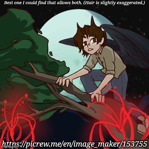 This One's Kinda Cool | Best one I could find that allows both. (Hair is slightly exaggerated.); https://picrew.me/en/image_maker/153755 | image tagged in falcon,art,not me,demon,angel,ideas | made w/ Imgflip meme maker