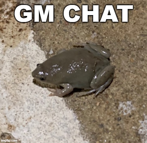 fog | GM CHAT | image tagged in fog | made w/ Imgflip meme maker