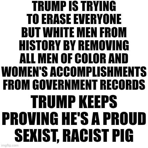 HOW Insecure Are ALL The White Men That Follow The Convicted Rapist That They Think They Can Just ERASE Everyone Else??? | TRUMP IS TRYING TO ERASE EVERYONE BUT WHITE MEN FROM HISTORY BY REMOVING ALL MEN OF COLOR AND WOMEN'S ACCOMPLISHMENTS FROM GOVERNMENT RECORDS; TRUMP KEEPS PROVING HE'S A PROUD SEXIST, RACIST PIG | image tagged in maga,white supremacists,white supremacy,trump is a white supremacist,lock him up,memes | made w/ Imgflip meme maker