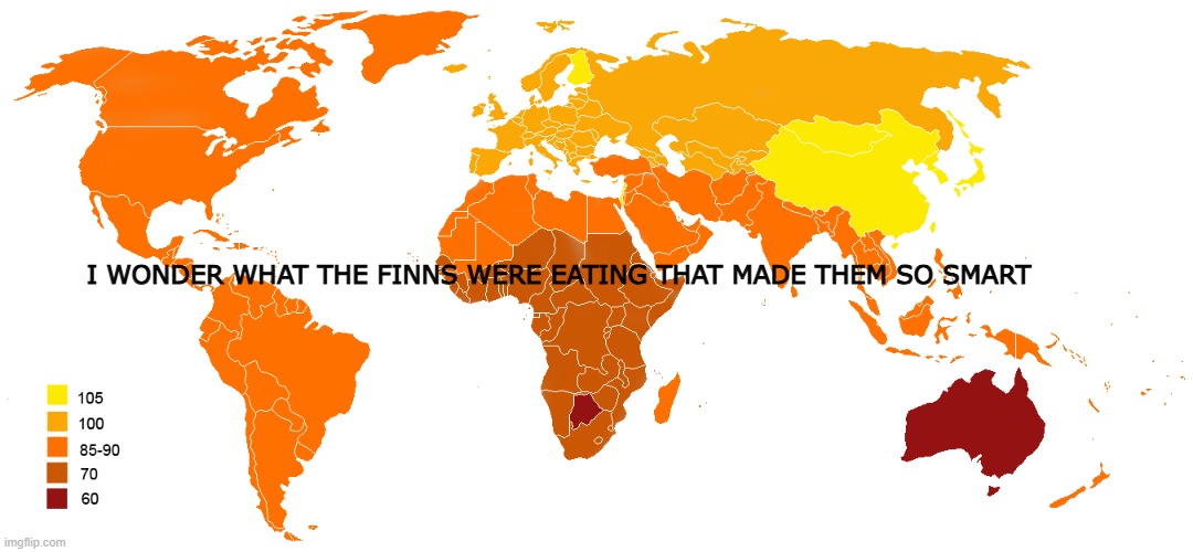 IQ of indigenous people | I WONDER WHAT THE FINNS WERE EATING THAT MADE THEM SO SMART | image tagged in world map,geography | made w/ Imgflip meme maker