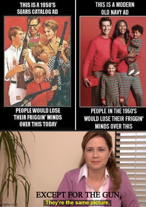 i just want our gun restrictions lifted | EXCEPT FOR THE GUN, | image tagged in memes,they're the same picture | made w/ Imgflip meme maker