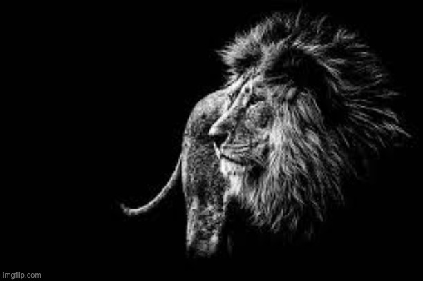 Blank lion template | image tagged in blank lion template | made w/ Imgflip meme maker