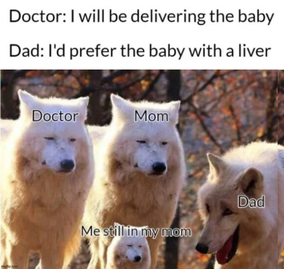 Special delivery | image tagged in grump wolves,eyeroll | made w/ Imgflip meme maker