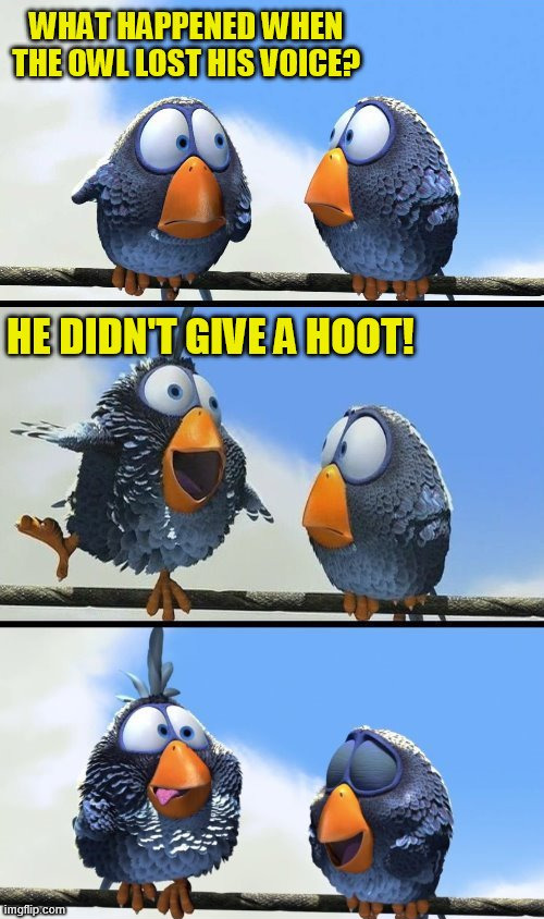 Don't give a hoot | image tagged in eyeroll | made w/ Imgflip meme maker