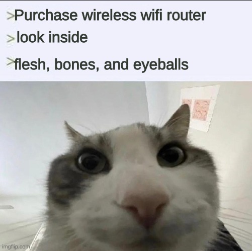 Cat looks inside | Purchase wireless wifi router; look inside; flesh, bones, and eyeballs | image tagged in cat looks inside | made w/ Imgflip meme maker