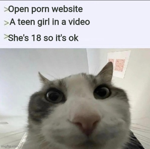 Cat looks inside | Open porn website; A teen girl in a video; She's 18 so it's ok | image tagged in cat looks inside | made w/ Imgflip meme maker