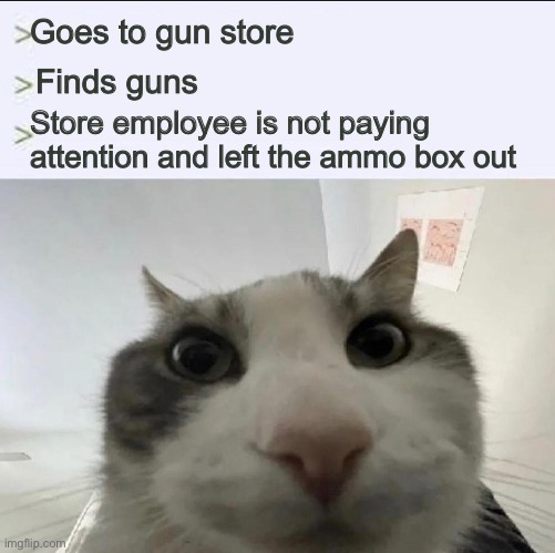 Cat looks inside | Goes to gun store; Finds guns; Store employee is not paying attention and left the ammo box out | image tagged in cat looks inside | made w/ Imgflip meme maker