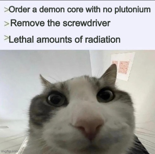 Cat looks inside | Order a demon core with no plutonium; Remove the screwdriver; Lethal amounts of radiation | image tagged in cat looks inside | made w/ Imgflip meme maker