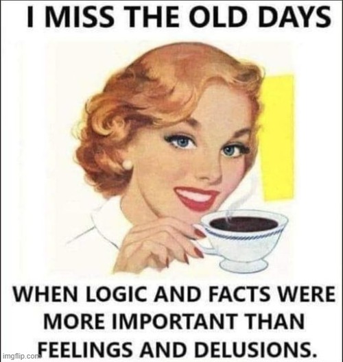 The plain & simple truth | image tagged in liberalism,leftism,confusion,liberals vs conservatives,conservative logic,facts | made w/ Imgflip meme maker