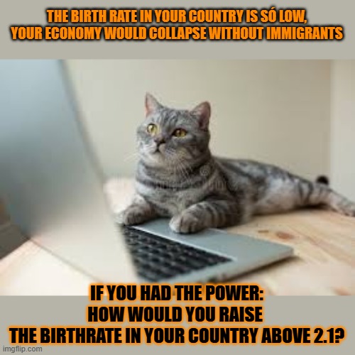 This #lolcat wonders why hoo-mens are stupid enough to want to close the borders | THE BIRTH RATE IN YOUR COUNTRY IS SÓ LOW,
YOUR ECONOMY WOULD COLLAPSE WITHOUT IMMIGRANTS; IF YOU HAD THE POWER:
HOW WOULD YOU RAISE 
THE BIRTHRATE IN YOUR COUNTRY ABOVE 2.1? | image tagged in immigrants,economy,stupid people,lolcat | made w/ Imgflip meme maker