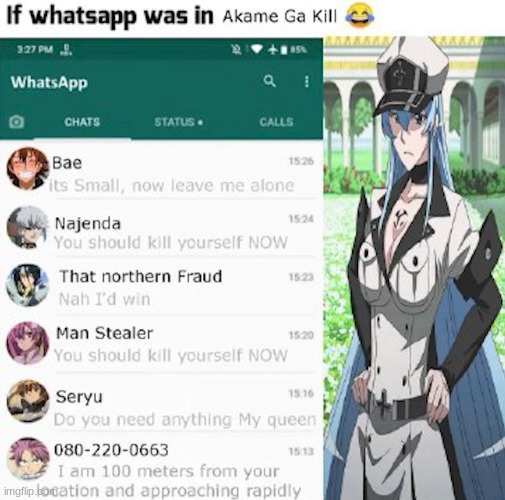 image tagged in akame ga kill,esdeath | made w/ Imgflip meme maker