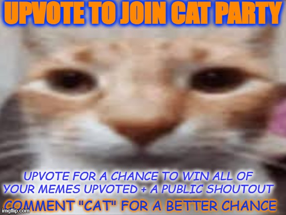CAT PARTY INVITE | UPVOTE TO JOIN CAT PARTY; UPVOTE FOR A CHANCE TO WIN ALL OF YOUR MEMES UPVOTED + A PUBLIC SHOUTOUT; COMMENT "CAT" FOR A BETTER CHANCE | image tagged in free upvotes,fun,cat,catparty,cat party | made w/ Imgflip meme maker