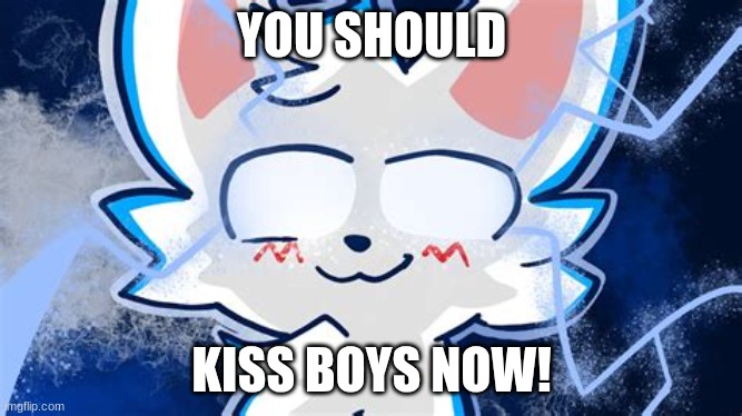 boykisser meme | YOU SHOULD; KISS BOYS NOW! | image tagged in boykisser meme | made w/ Imgflip meme maker