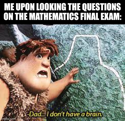 Croods character | ME UPON LOOKING THE QUESTIONS ON THE MATHEMATICS FINAL EXAM: | image tagged in memes,maths,exams | made w/ Imgflip meme maker