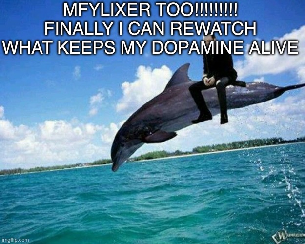 What the hell | MFYLIXER TOO!!!!!!!!! FINALLY I CAN REWATCH WHAT KEEPS MY DOPAMINE ALIVE | image tagged in what the hell | made w/ Imgflip meme maker