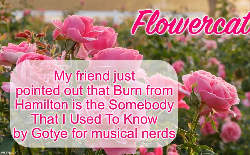 I expect maybe two people to get this | My friend just pointed out that Burn from Hamilton is the Somebody That I Used To Know by Gotye for musical nerds | image tagged in flowercat template | made w/ Imgflip meme maker