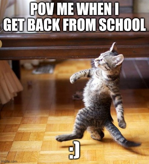 I like posting true stuff | POV ME WHEN I GET BACK FROM SCHOOL; :) | image tagged in cat walking like a boss | made w/ Imgflip meme maker