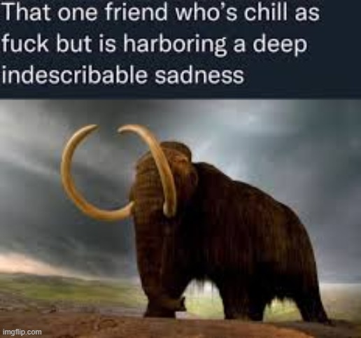 literally me | made w/ Imgflip meme maker