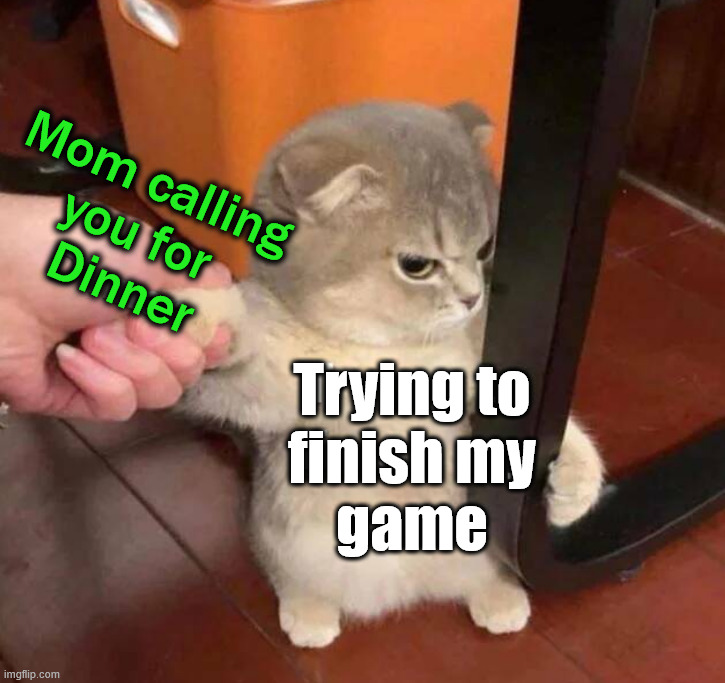 When you need a couple of minutes to finish that part of the game | Mom calling 
you for 
Dinner; Trying to
finish my
game | image tagged in gaming | made w/ Imgflip meme maker