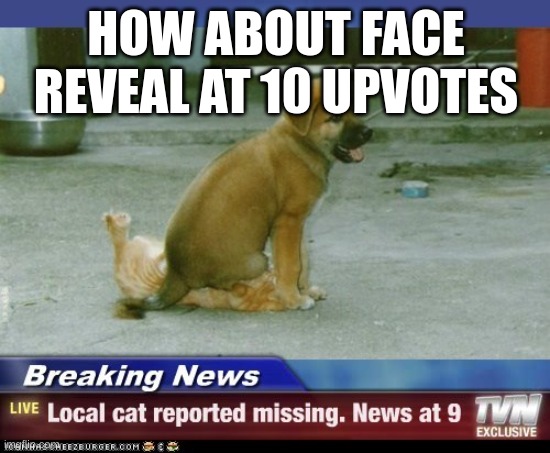 missing cat | HOW ABOUT FACE REVEAL AT 10 UPVOTES | image tagged in missing cat | made w/ Imgflip meme maker