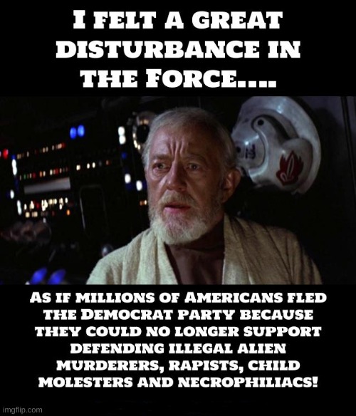 Democrats ARE a disturbance in the Force. They're shrouded in the dark side. | image tagged in democrats,followers,illegal immigration,obi wan kenobi,politics | made w/ Imgflip meme maker