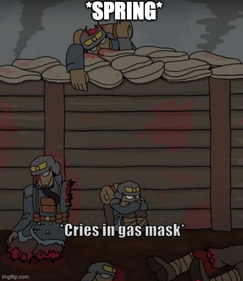 *SPRING* | made w/ Imgflip meme maker
