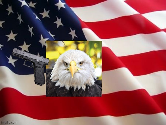 American flag | image tagged in american flag | made w/ Imgflip meme maker