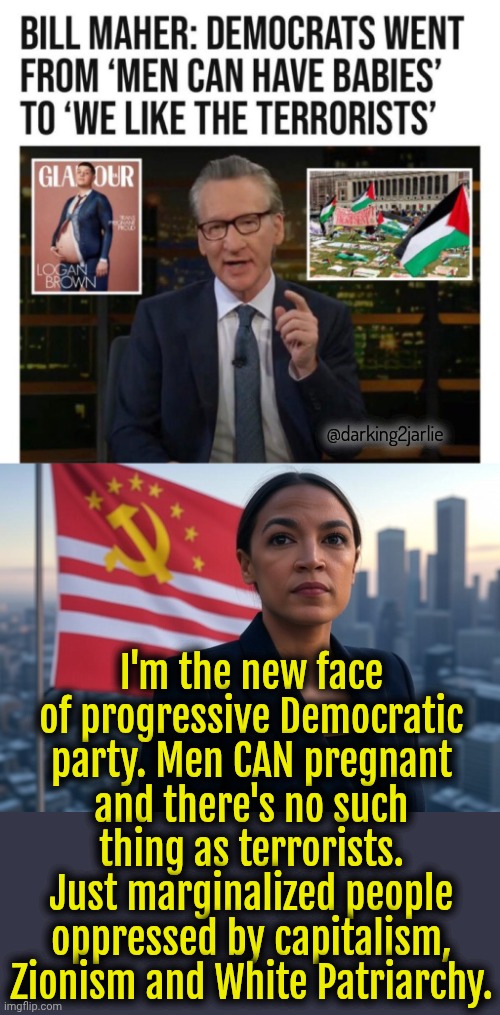 Under social-progressive ideology Dems will keep making new lows. There's no rock bottom for them. | @darking2jarlie; I'm the new face of progressive Democratic party. Men CAN pregnant and there's no such thing as terrorists. Just marginalized people oppressed by capitalism, Zionism and White Patriarchy. | image tagged in supreme leader aoc,democrats,socialism,liberals,liberal logic,politics | made w/ Imgflip meme maker