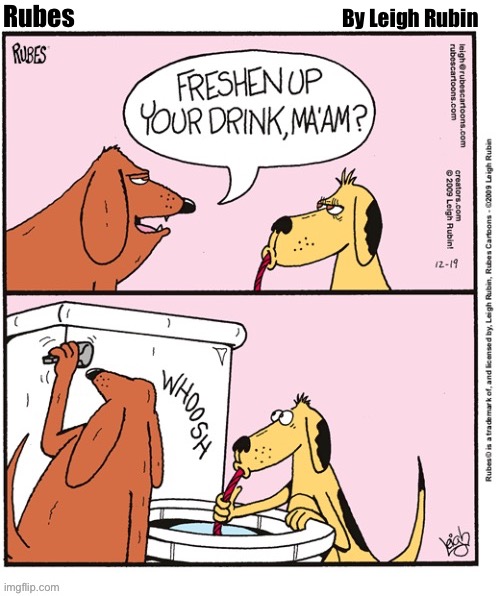By Leigh Rubin; Rubes | image tagged in comics/cartoons,rubes,dogs,toilet drinker | made w/ Imgflip meme maker