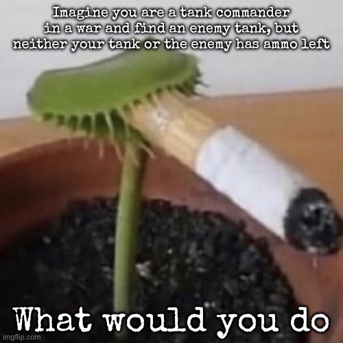 plant weeds | Imagine you are a tank commander in a war and find an enemy tank, but neither your tank or the enemy has ammo left; What would you do | image tagged in plant weeds,msmg | made w/ Imgflip meme maker