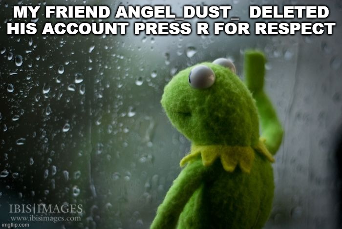 im tweakin | MY FRIEND ANGEL_DUST_  DELETED HIS ACCOUNT PRESS R FOR RESPECT | image tagged in kermit window | made w/ Imgflip meme maker