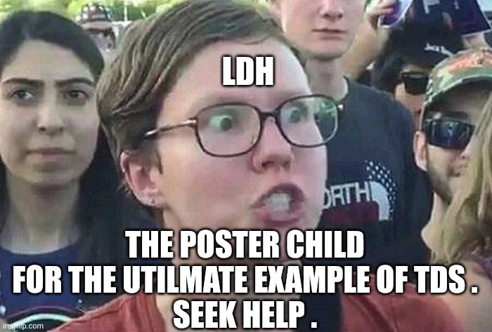 Triggered Liberal | LDH THE POSTER CHILD FOR THE UTILMATE EXAMPLE OF TDS .
SEEK HELP . | image tagged in triggered liberal | made w/ Imgflip meme maker