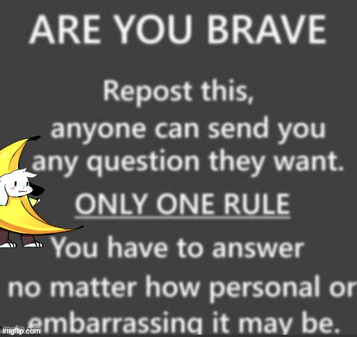 I'll answer completely honestly | image tagged in ask me anything | made w/ Imgflip meme maker