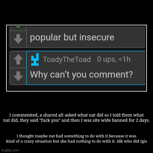 Banned for "breaking imflip TOS" | I commemted, a shared alt asked what nat did so I told them what nat did, they said "fuck you" and then I was site wide banned for 2 days. | | image tagged in funny,demotivationals | made w/ Imgflip demotivational maker