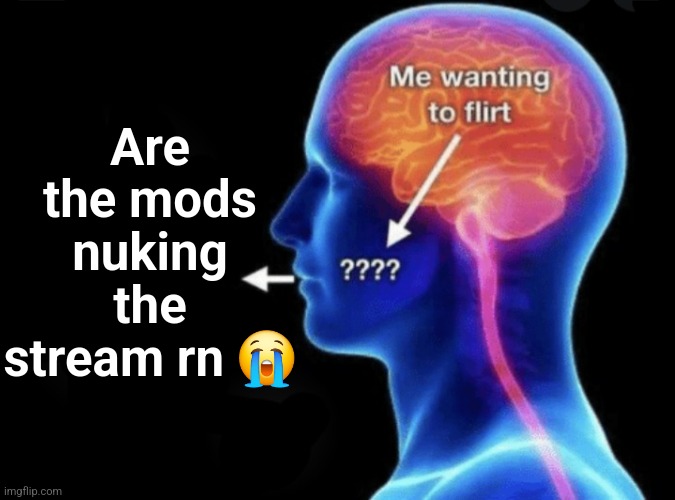 Me wanting to flirt | Are the mods nuking the stream rn 😭 | image tagged in me wanting to flirt | made w/ Imgflip meme maker